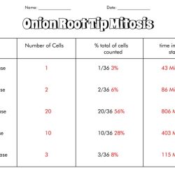 Observing mitosis lab answer key