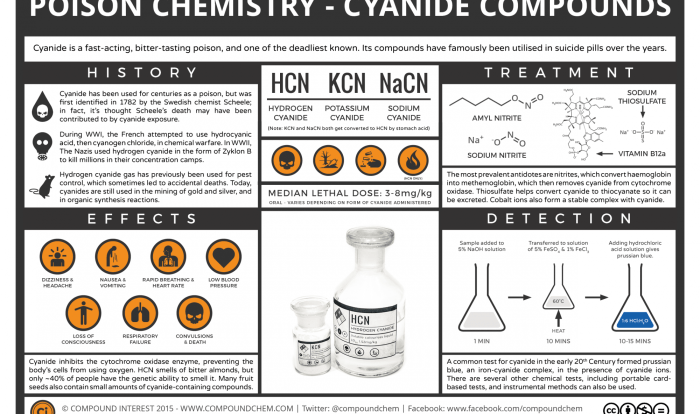 What dissolved species are present in a solution of kcn