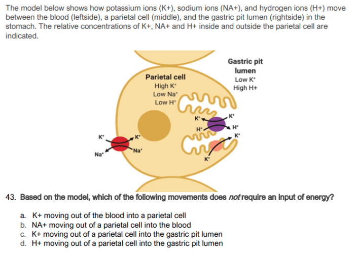 Kcn cyanide potassium cheminfographic